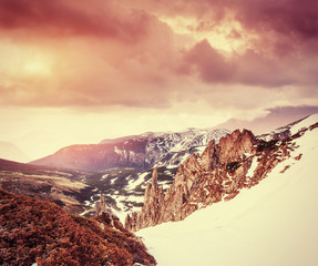 Fototapeta premium magical winter snow covered tree. Sunset in the Carpathians. Ukr
