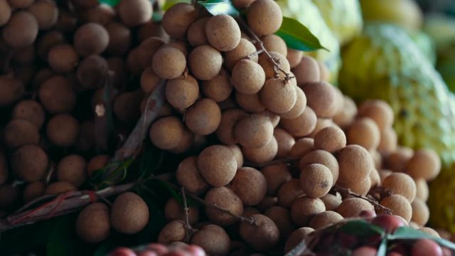 Longkong or Lansium Parasiticum, Fruit in Southeast Asia