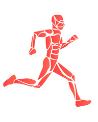 Fototapeta na wymiar persona che corre con muscolatura disegno vettoriale