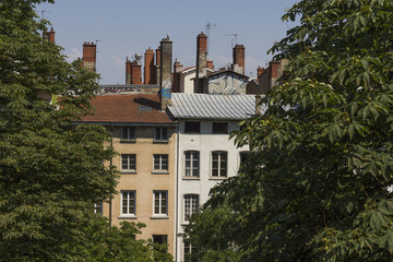 Häuserfront mit vielen Schornsteinen hinter Kastanienbäumen, Lyon, Frankreich