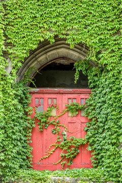 Abandoned Door