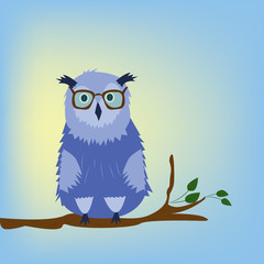Owl with glasses on the blue background.