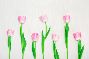 Beautiful Pink tulips flowers on wooden white background.