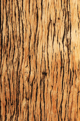 weathered pine wood