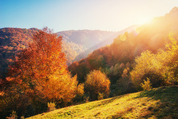 Naklejka premium mountain range in the Carpathian Mountains in the autumn season