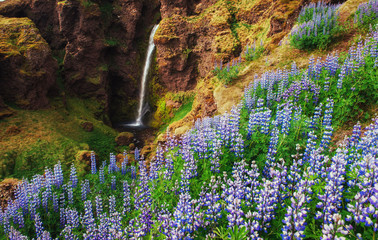 The picturesque landscapes of forests and mountains