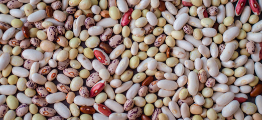 texture of colorful beans