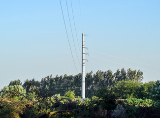 Power line support