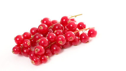 redcurrant