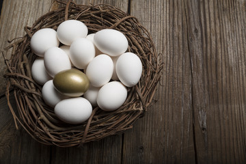 Financial Nest Egg and Building Additional Wealth and financial planning