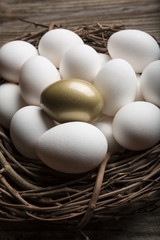 Financial Nest Egg and Building Additional Wealth and financial planning