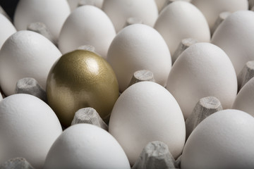 Golden Egg Standing Out from a Large Group of Ordinary white Eggs