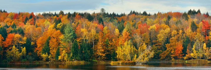 Raamstickers Lake Autumn Foliage © rabbit75_fot