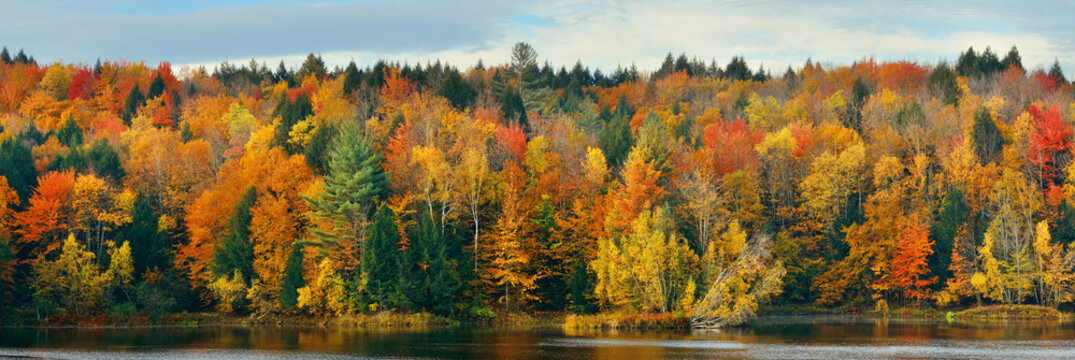 Fototapeta  Jesienny las nad jeziorem ścienna XXL