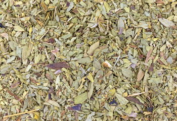 Senna leaf close view.