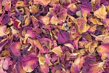 Dried red rosebuds and petals crushed close view.