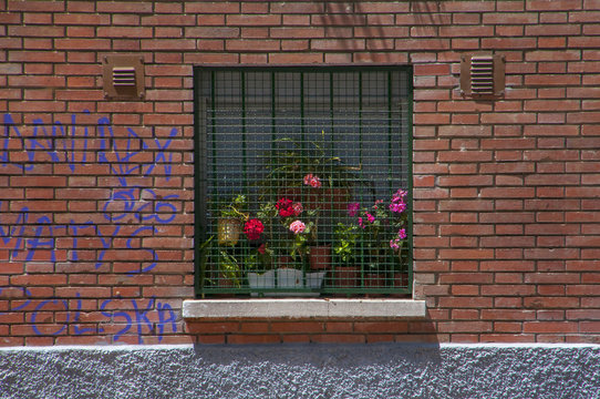 Ventana enrejada con flores en maceteros