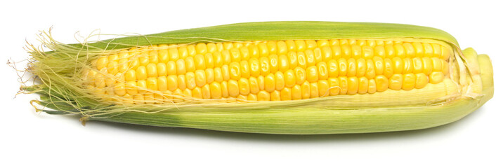 One corn isolated on white background. Top view, flat