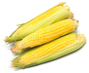 Corn with skin or without skin isolated on white background. A collection of corn. Top view, flat