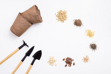 Various seeds and garden tools. Copy space