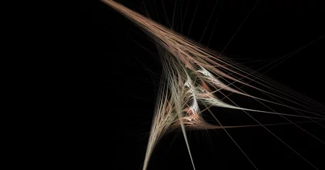Fotobehang fractal lines on a black background © mariyakuprevich