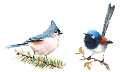 Fairy Wren and Titmouse Two Birds Watercolor Hand Painted Illustration Set isolated on white background