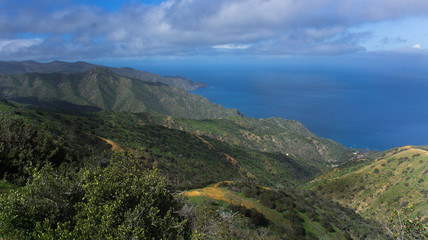 Fototapeta na wymiar Catalina Island