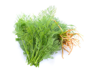 Coriander bunch isolated on white background