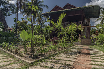 Countryside street near Siem Reap with houses