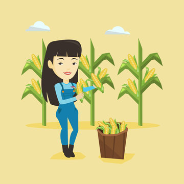 Farmer collecting corn vector illustration.