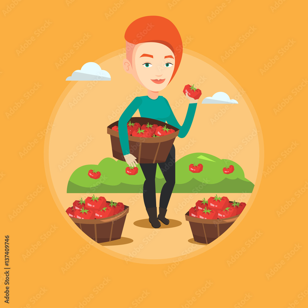 Canvas Prints farmer collecting tomatos vector illustration.