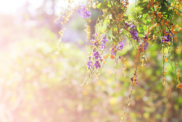 vintage background wallpaper tone color nature pattern

