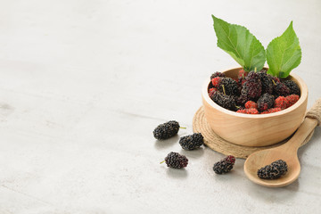 mulberry in bowl and spoon leaf with copy space