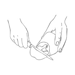 cooking hands with knife and sweet pepper