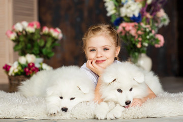 Little girl with a samoyed puppies