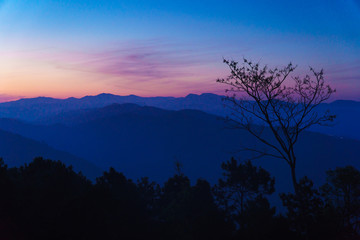 Silhouette tree sunset on mountain range background landscape,Rich Cool tone color effect.