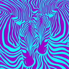 Zebra Couple background. vector illustration. Animal skin print texture.