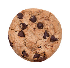 Chocolate chip cookie