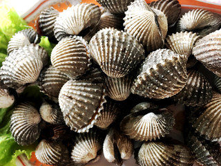 Poached scallop in wood plate on wood background with copy space