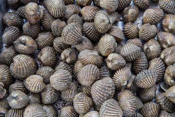 most shellfish in container texture © tearsze