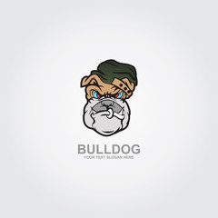 Vector illustration head ferocious bulldog mascot
