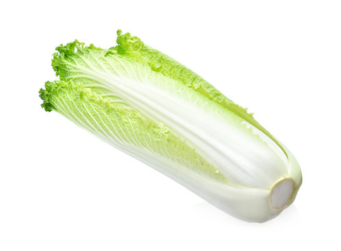 Chinese cabbage-Michilli on white background
