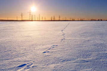 Winter field covered with snow smooth