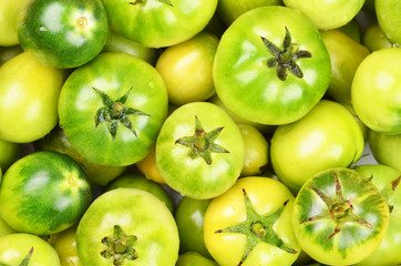 Green tomato, close up