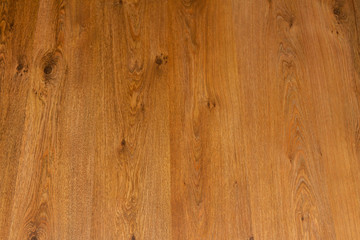 laminate with the texture under the oak tree