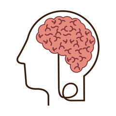 silhouette profile human head with brain vector illustration