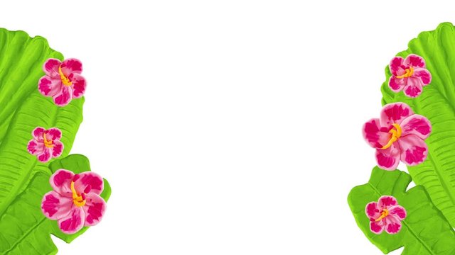 Growing flowers and leaves on the sides. Includes alpha matte.