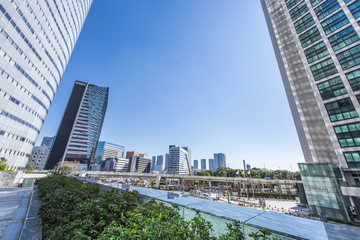 Fototapeta premium 汐留の高層ビル群