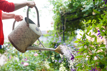Watering can © otent