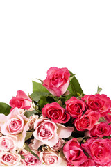 Bouquet of pink roses flowers